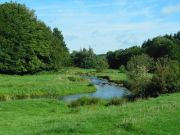 Rivier de Houille dicht bij Gedinne
