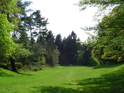 Exoten in het arboretum